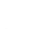FNV_logo